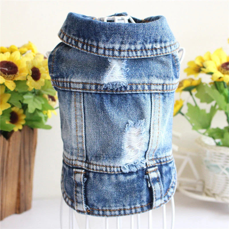 A stylish denim dog jacket with various design options for small breed canines