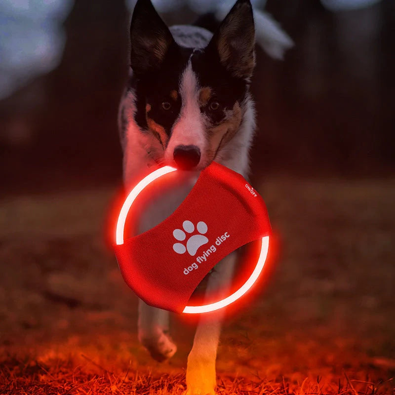 LED Glowing Dog Flying Disc in various colours for night play and training