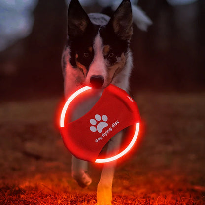 LED Glowing Dog Flying Disc in various colours for night play and training