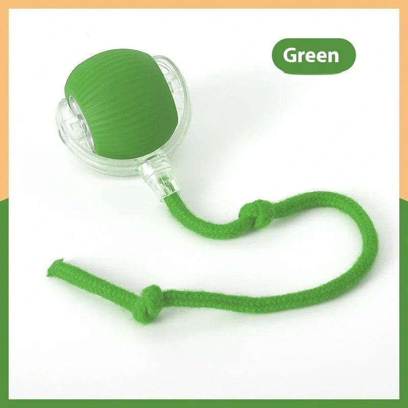 Interactive cat toy ball with premium drive mechanism, auto shut-off, and wake-up features for engaging feline playtime
