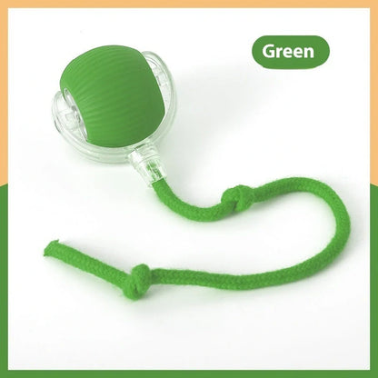 Interactive cat toy ball with premium drive mechanism, auto shut-off, and wake-up features for engaging feline playtime