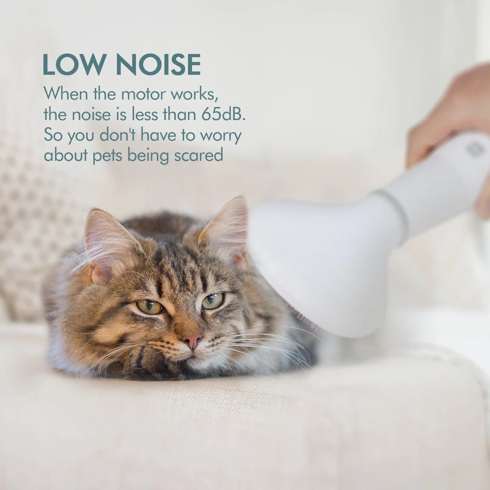 Premium pet hair dryer with noise reduction technology and stainless steel slicker brush attachment