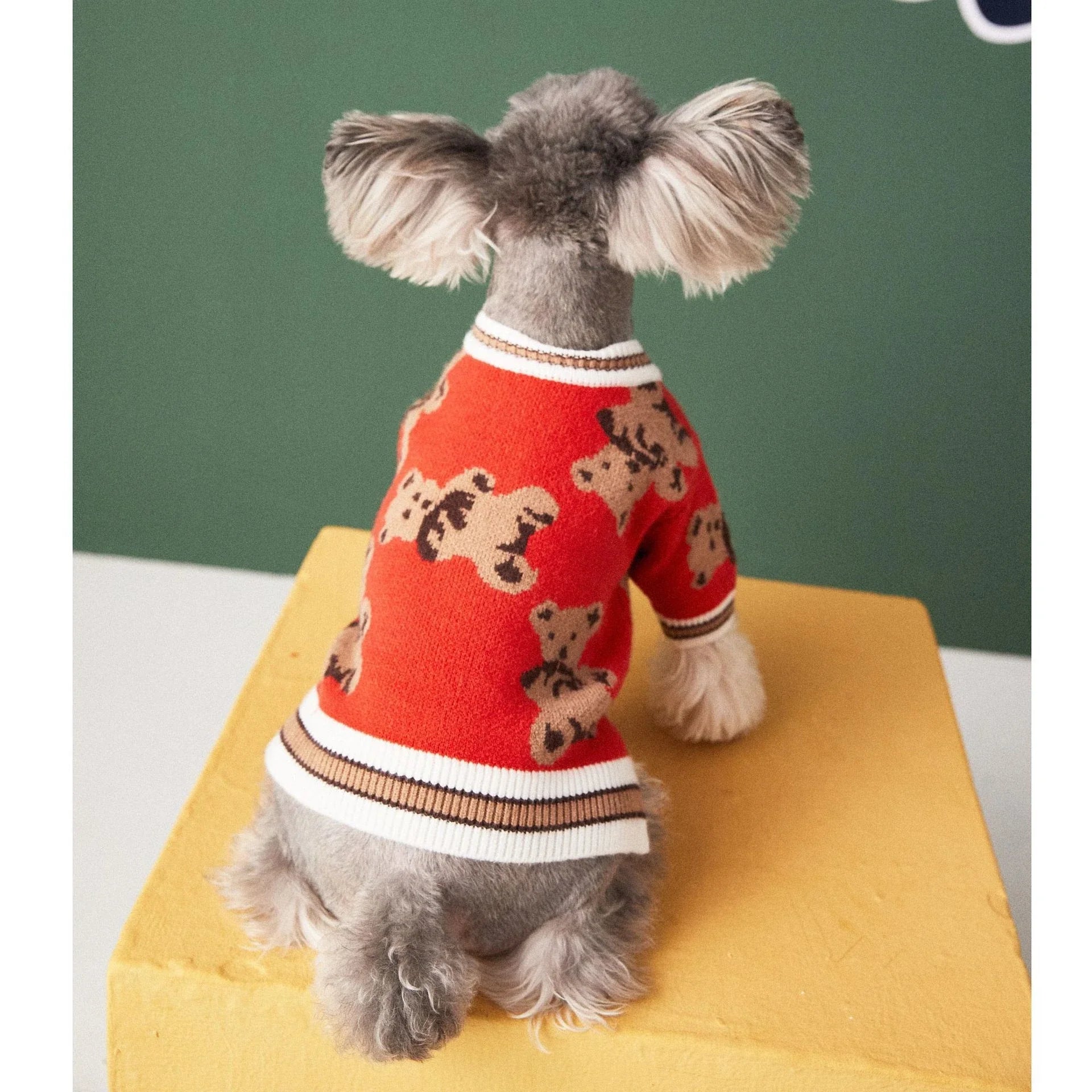 Stylish striped pet sweater in various colours and sizes for dogs and cats