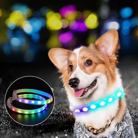 Bright LED dog collar with adjustable design for nighttime visibility and safety