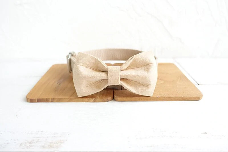 Durable dog collar and traction rope set in nude colour, perfect for safe and stylish walks.