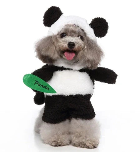 A charming pet costume with a three-piece ensemble of a whimsical hat, cosy clothing, and a dashing cloak, designed to make your furry friend the life of the party.