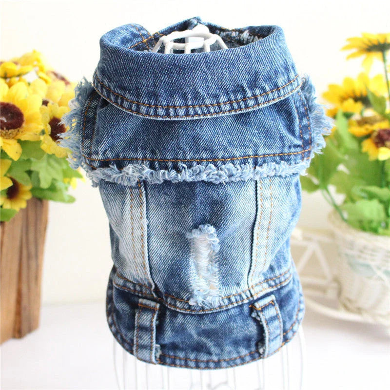 A stylish denim dog jacket with various design options for small breed canines
