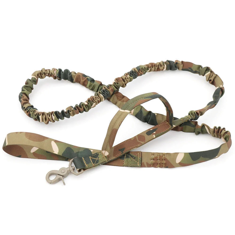 Retractable dog lead for outdoor training in various colors