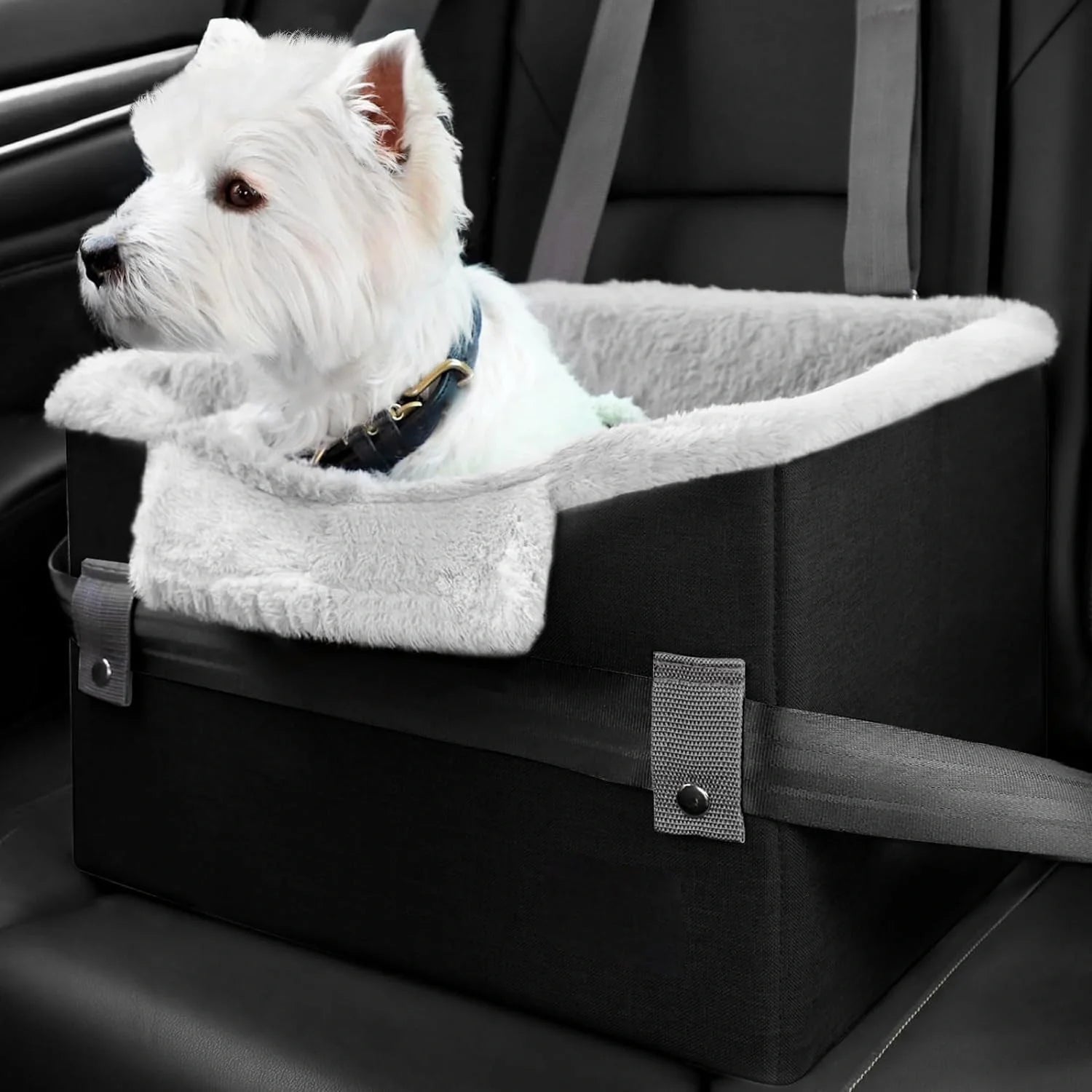 Portable dog booster seat with safety leash for small pets in car