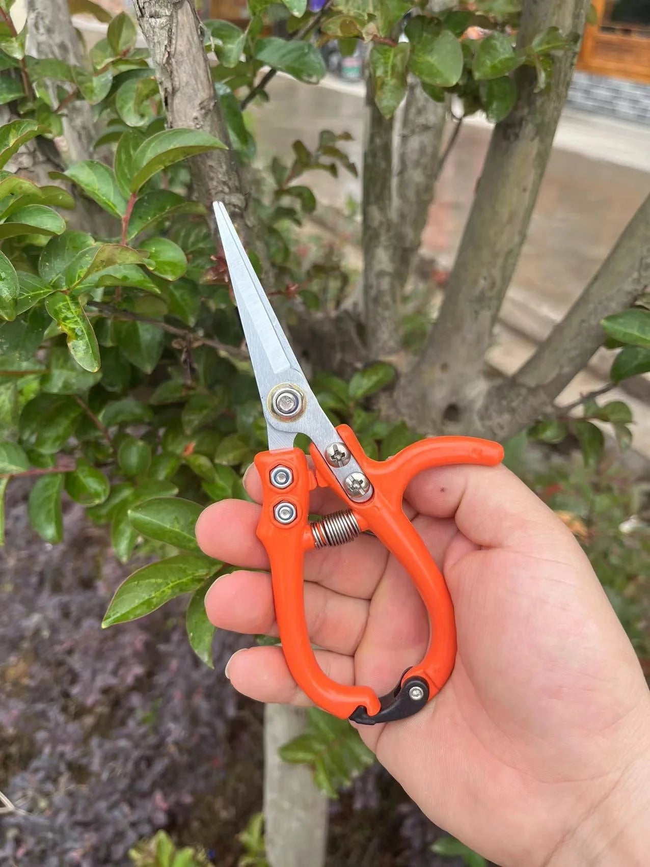 Multifunctional garden scissors with safety buckle and stainless steel spring for durable pruning