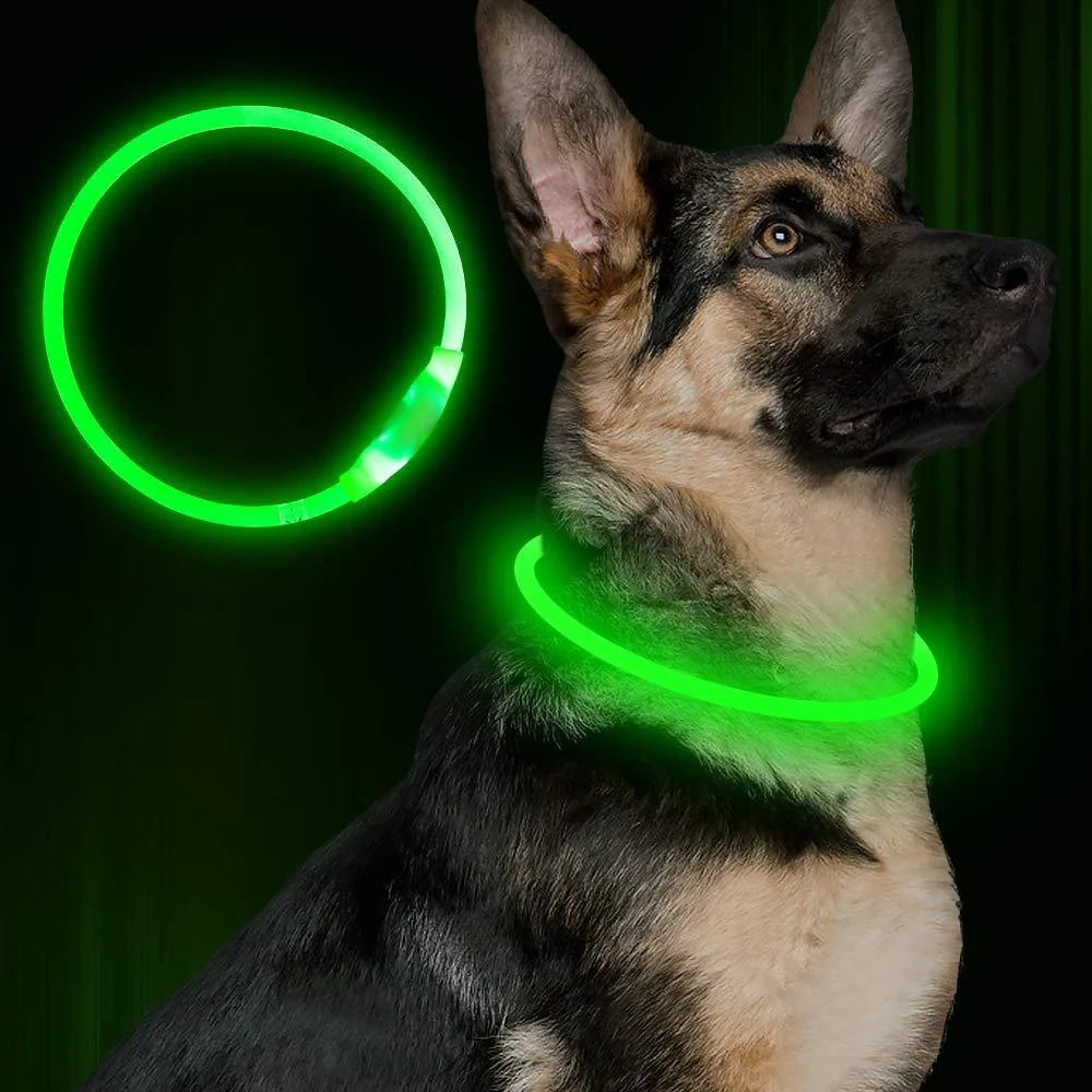 USB rechargeable LED pet safety collar for night visibility
