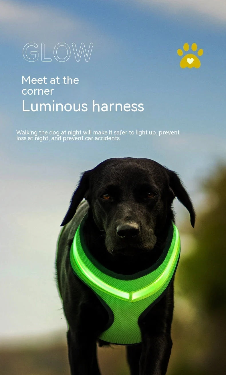 USB charging LED dog harness in blue, red, or green with reflective safety features