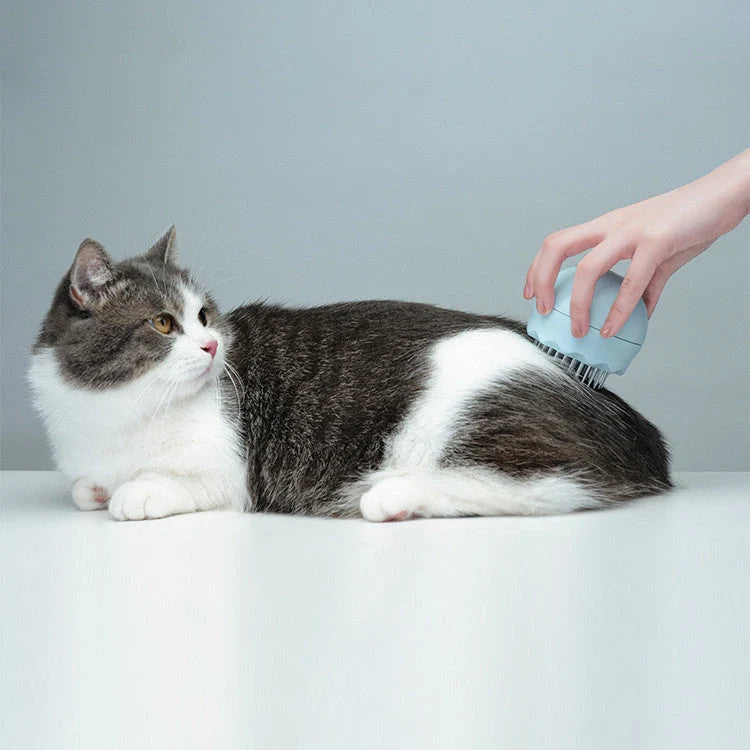 Floating Massage Pet Needle Comb for cat grooming in orange pink and baby blue