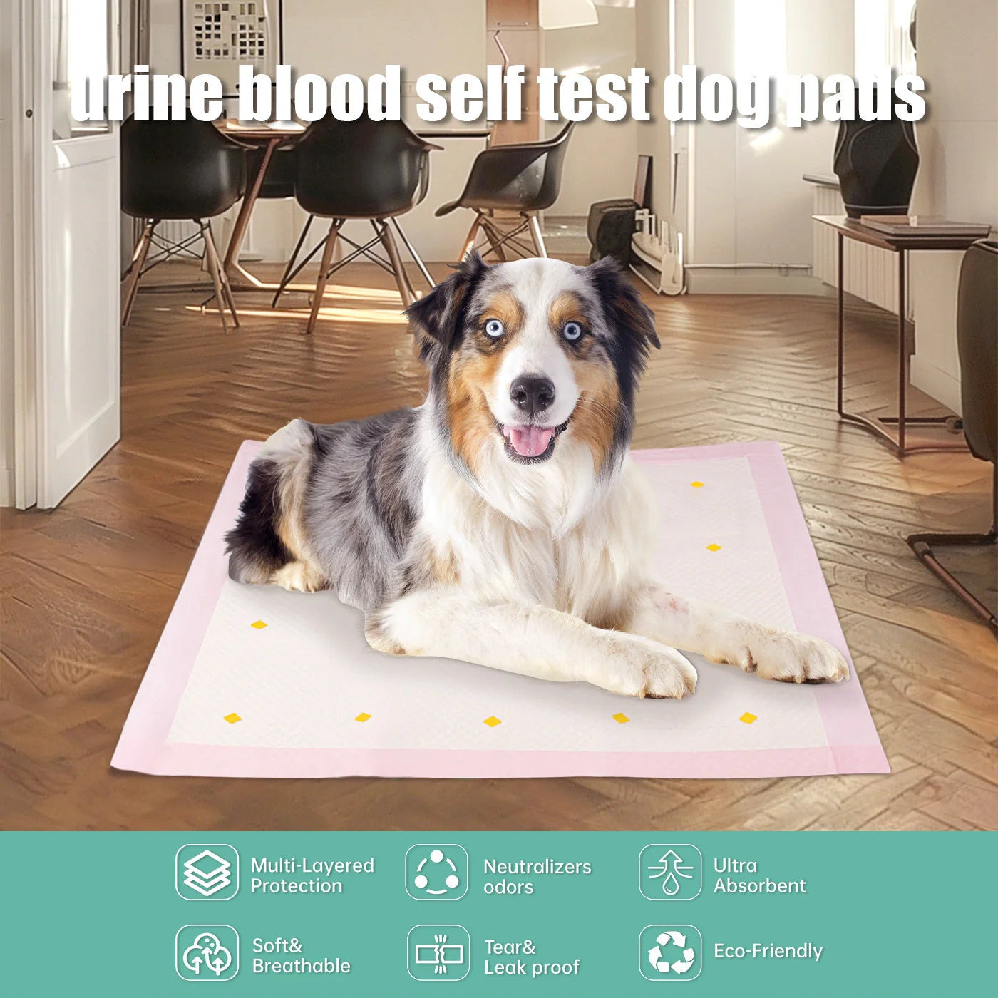 Premium dog detection urine pads, 10-pack, for clean and dry floors