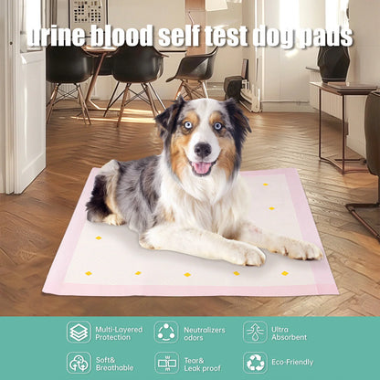 Premium dog detection urine pads, 10-pack, for clean and dry floors