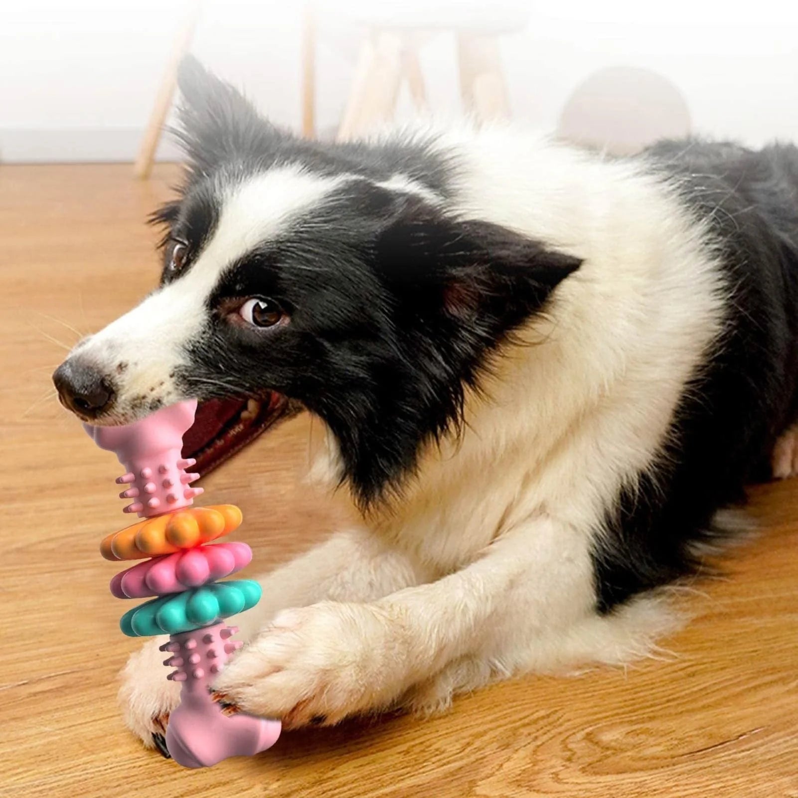 TPR dog chew toy bone shape in blue, pink, and green for teeth cleaning and stress relief