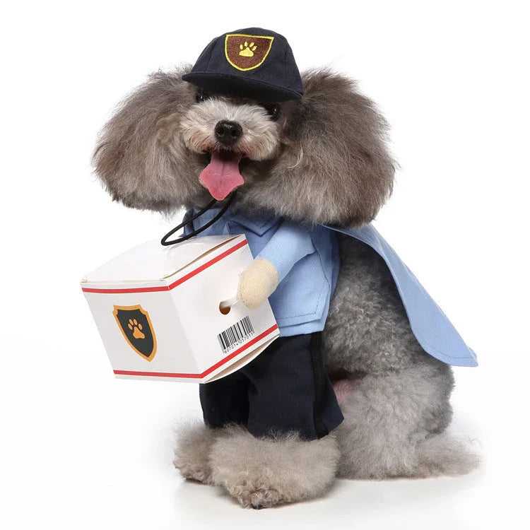 A charming pet costume with a three-piece ensemble of a whimsical hat, cosy clothing, and a dashing cloak, designed to make your furry friend the life of the party.