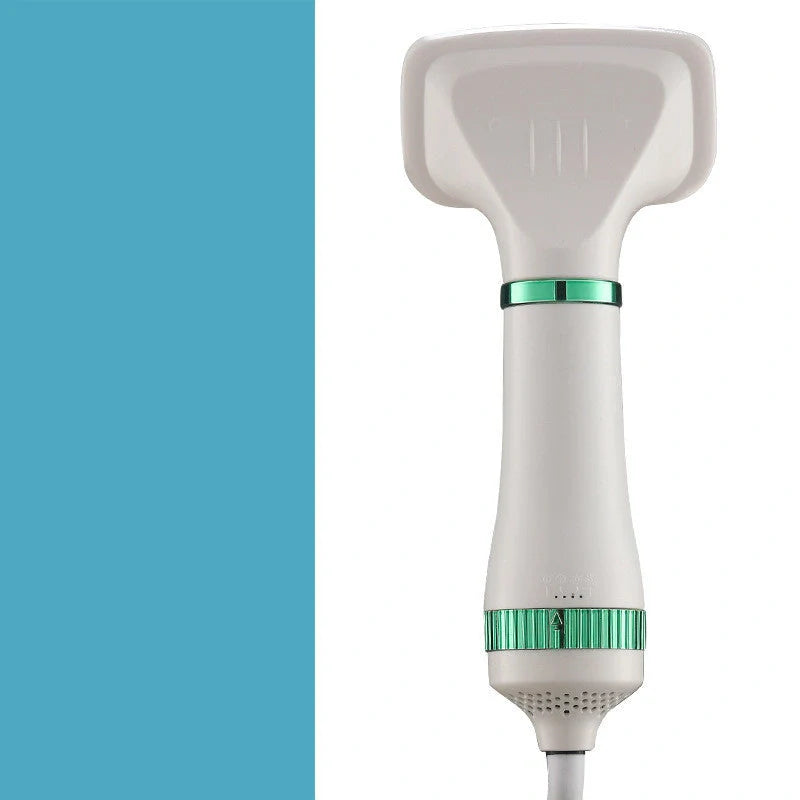 Premium Pet Hair Dryer designed for grooming Teddy dogs with adjustable airflow and temperature settings