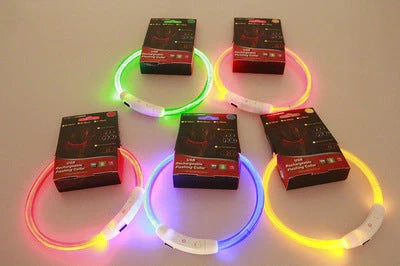 USB rechargeable LED pet safety collar for night visibility