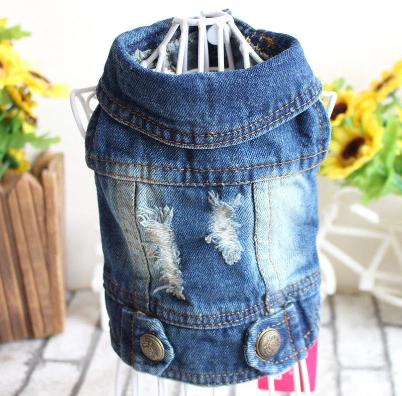 A stylish denim dog jacket with various design options for small breed canines
