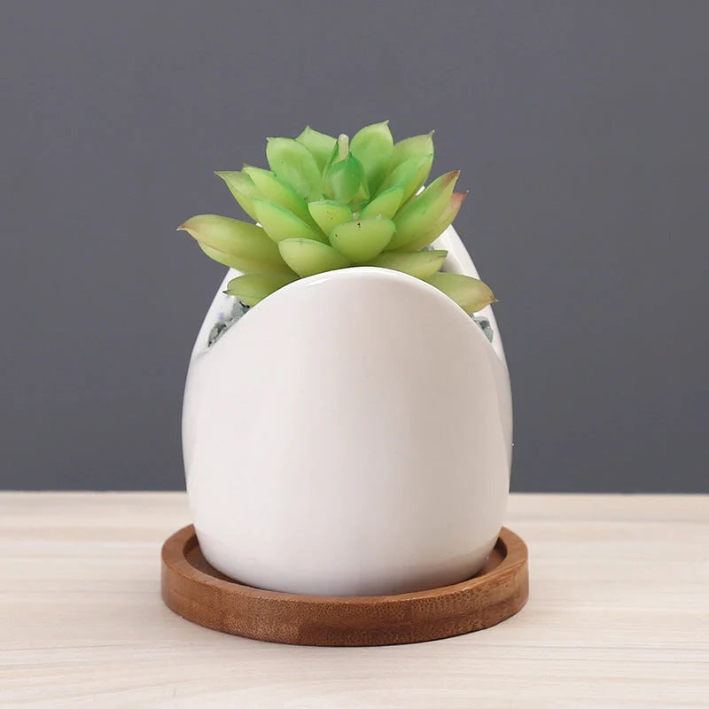 Creative cartoon ceramic succulent pot with drainage hole for indoor plants