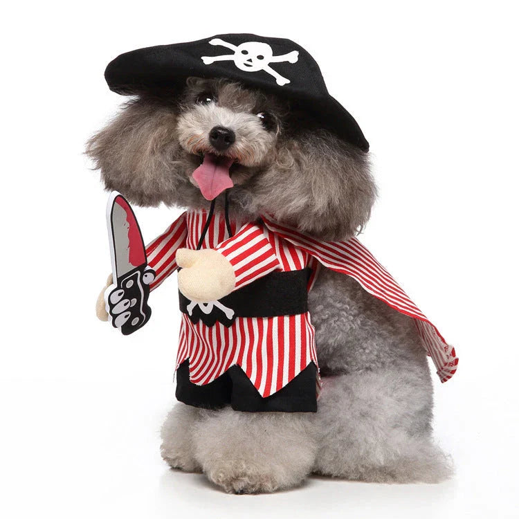 A charming pet costume with a three-piece ensemble of a whimsical hat, cosy clothing, and a dashing cloak, designed to make your furry friend the life of the party.