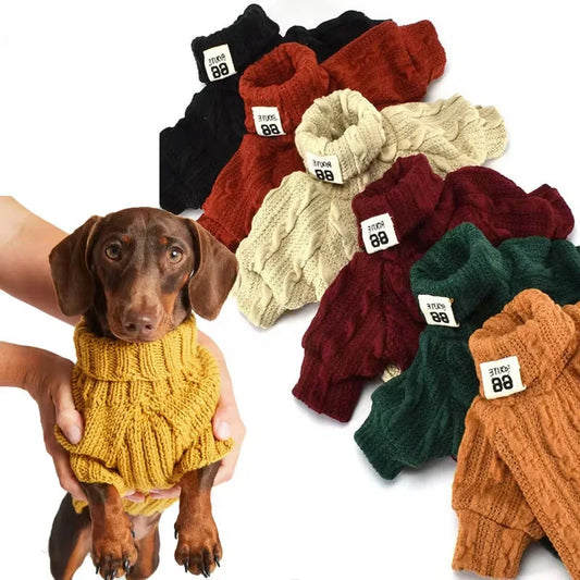 Dog wearing a warm acrylic turtleneck sweater in various colours, suitable for small to medium breeds.
