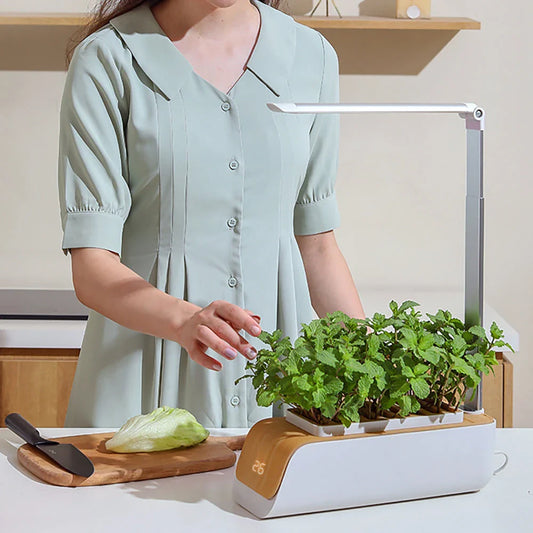 Versatile hydroponic planter with adjustable lighting and self-watering system for growing plants indoors