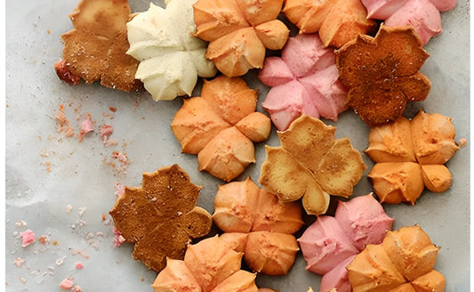 Easy Cookie Press with 13 disc designs and 8 piping tips for making perfect spritz cookies