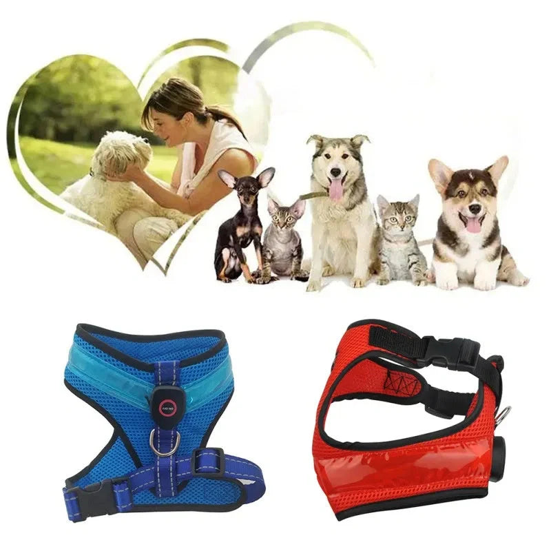 USB charging LED dog harness in blue, red, or green with reflective safety features
