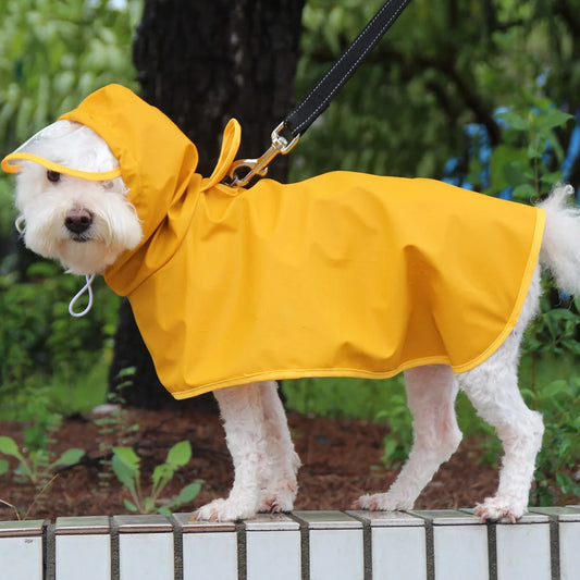 Dog wearing a yellow waterproof raincoat with a transparent brim, adjustable bellyband, and chest straps.