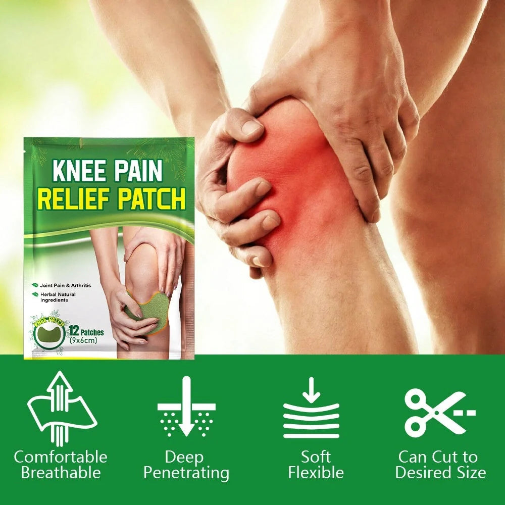 Argy Wormwood Knee Plaster pack with self-heating analgesic for joint care