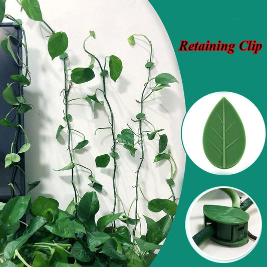 Versatile leaf-shaped plant clips in green, designed to provide discreet and effective support for climbing vines and potted plants