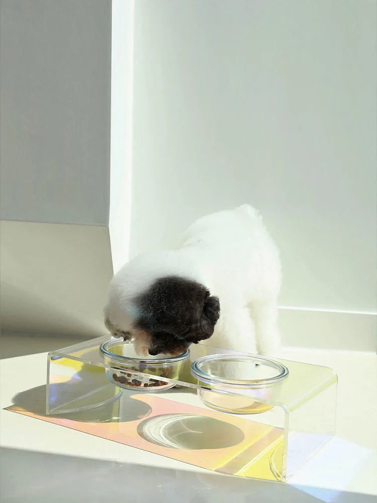 Holographic acrylic pet bowl for small dogs and cats with anti-slip base