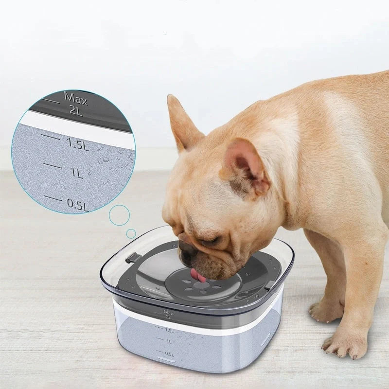 70oz transparent dog water bowl with slow drinking feature and visible water level