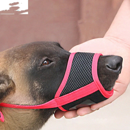 Large Labrador dog wearing a luxury coloured mouth cover to prevent eating indiscriminately