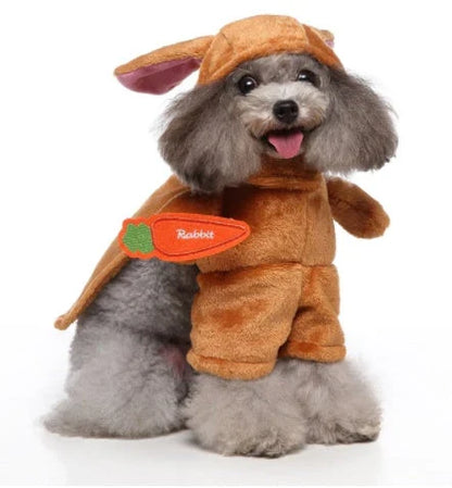 A charming pet costume with a three-piece ensemble of a whimsical hat, cosy clothing, and a dashing cloak, designed to make your furry friend the life of the party.