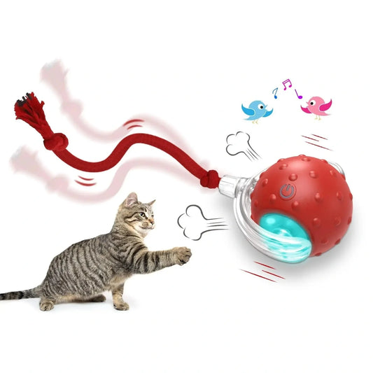 Interactive cat toy ball with premium drive mechanism, auto shut-off, and wake-up features for engaging feline playtime