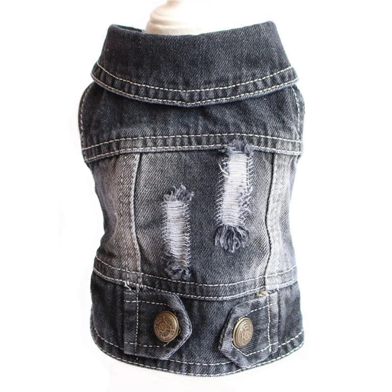 A stylish denim dog jacket with various design options for small breed canines
