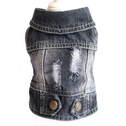 A stylish denim dog jacket with various design options for small breed canines