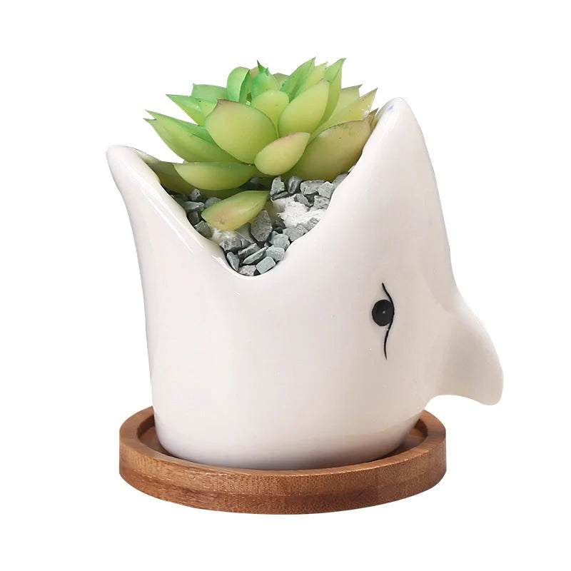 Creative cartoon ceramic succulent pot with drainage hole for indoor plants