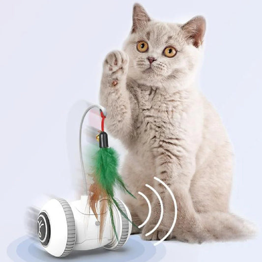 Interactive robotic cat toy with interchangeable feather and plush chick heads