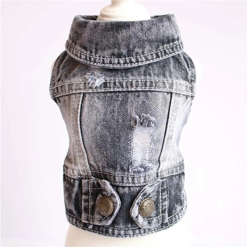 A stylish denim dog jacket with various design options for small breed canines