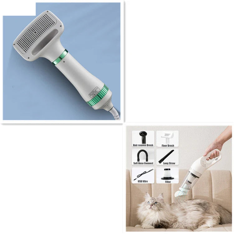 Premium Pet Hair Dryer designed for grooming Teddy dogs with adjustable airflow and temperature settings