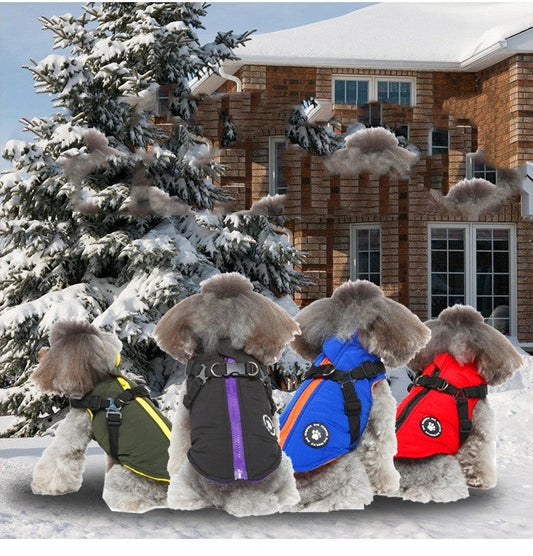 Chest Strap Jacket Cotton-padded Coat for pets in black, blue, green, and red