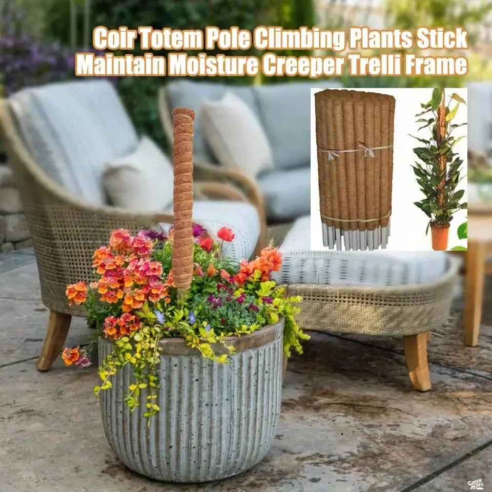 Coir Moss Stick for indoor climbing plants, made from premium coconut fibre for long-lasting support and moisture retention