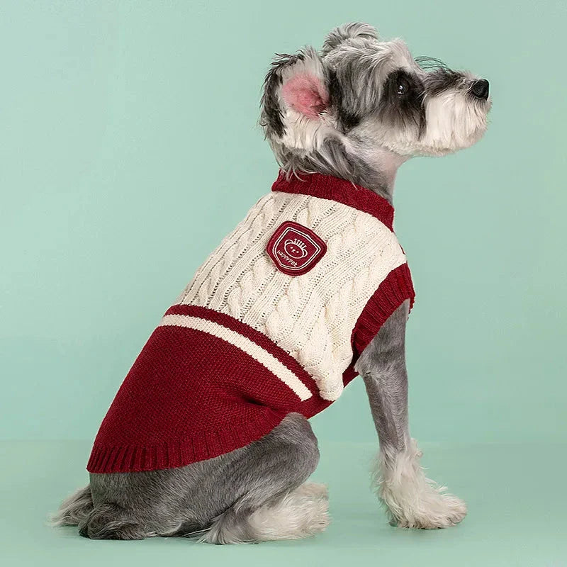 College-style pet dog sweater in green, red, and blue colours, designed for small and medium-sized dogs
