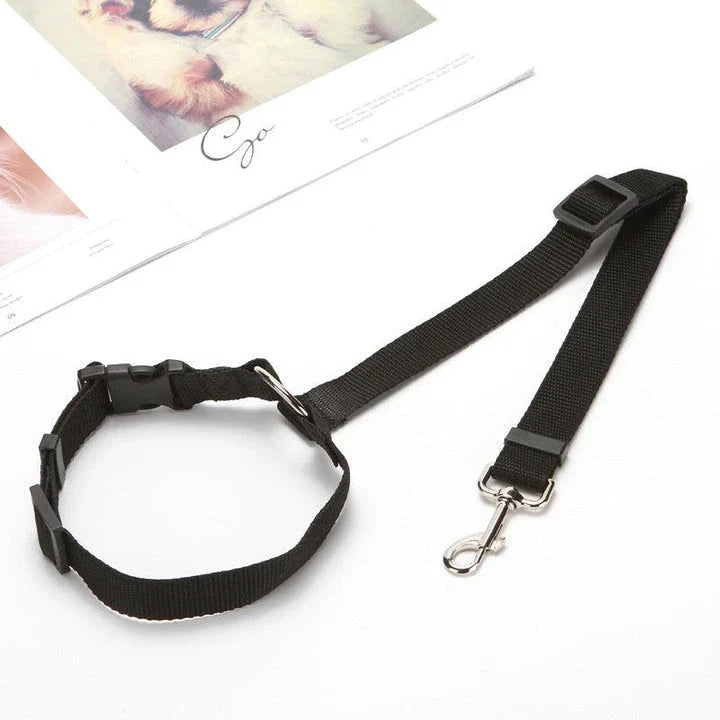 Adjustable dog car seatbelt with headrest loop and extendable leash for secure pet travel