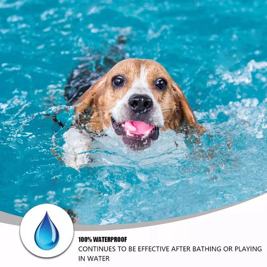 A premium anti-flea and tick collar for small cats and dogs, providing 8 months of continuous protection with an adjustable and water-resistant design.