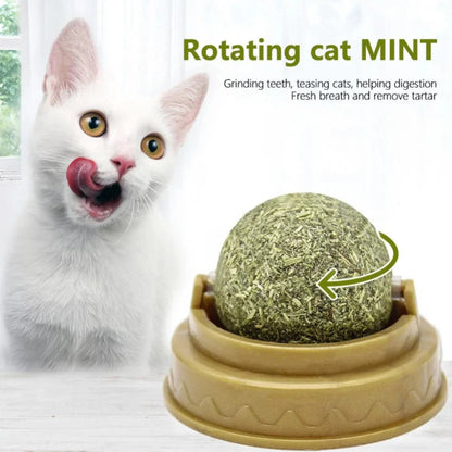 Dental Health Catnip Toy Balls in Blue, Pink, and Green colours for cats - Freshens breath, strengthens teeth, and provides interactive play